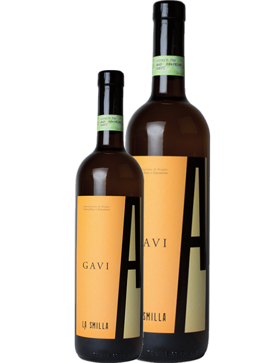 Gavi DOCG Magnum 1.5L