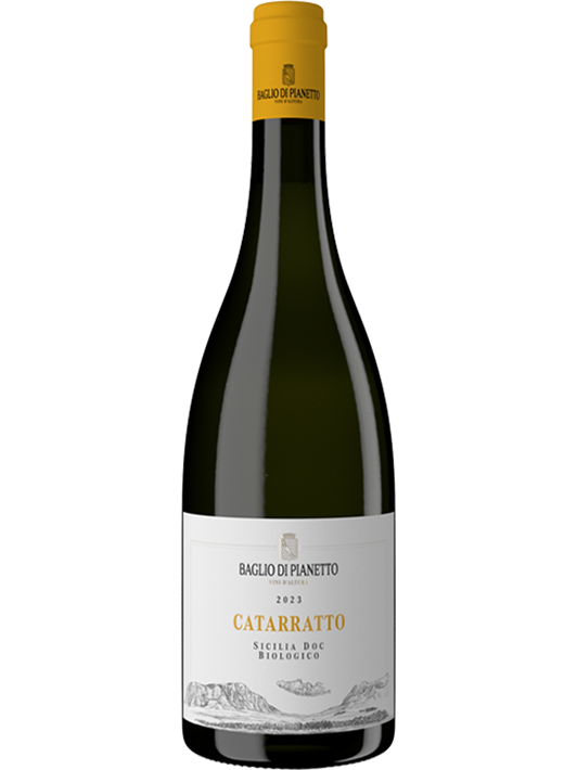 IN PUREZZA - Catarratto Sicilia DOC