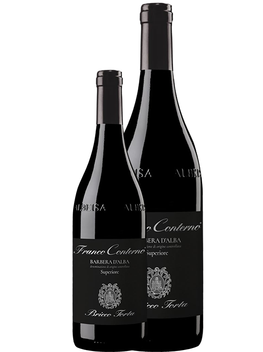 "Bricco Torta" Barbera d'Alba DOC - Magnum