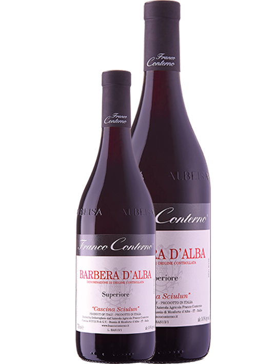 Barbera d'Alba DOC Superiore "Cascina Sciulun" - 150cl