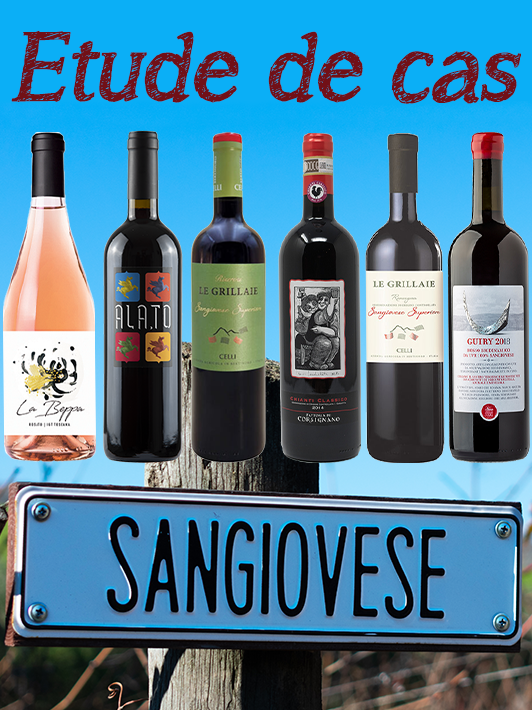 Box Scoperte " Il Sangiovese"