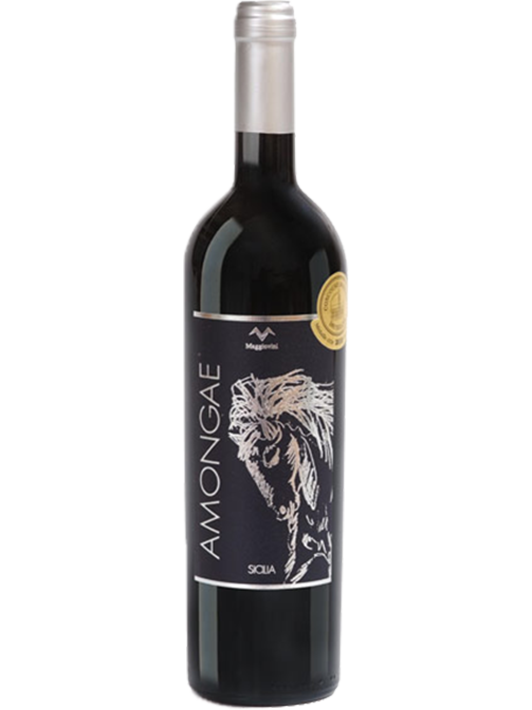 AMONGAE Sicilia IGT - Bio