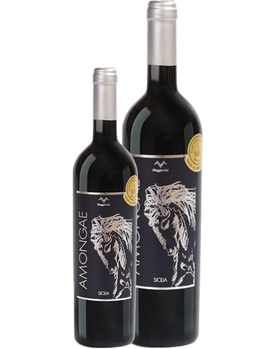 AMONGAE Sicilia IGT Magnum - Bio