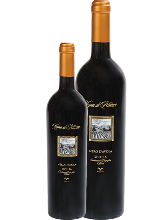 "Vigna di Pettineo" - DOP Sicilia Rosso Nero d'Avola Biologico Magnum