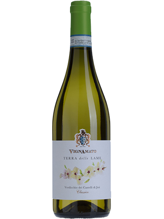 TERRA DELLE LAME - Verdicchio DOC Classico